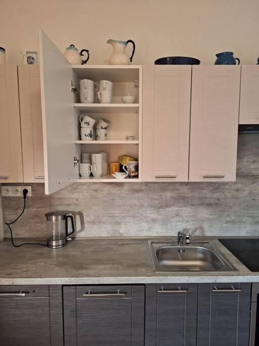 Apartman H&H Na Vysocine Střítež Buitenkant foto